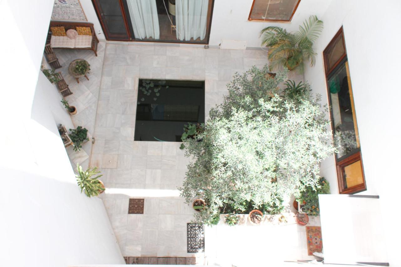 Monkeys Luxury Alfalfa Terrace